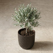 Plantenpot met reliëf, keramiek in matzwart, Ø13,5 cm