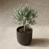 Plantenpot met reliëf, keramiek in matzwart, Ø13,5 cm