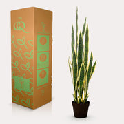 Kunstplant - Sanseveria Trifasciata - Vrouwentong