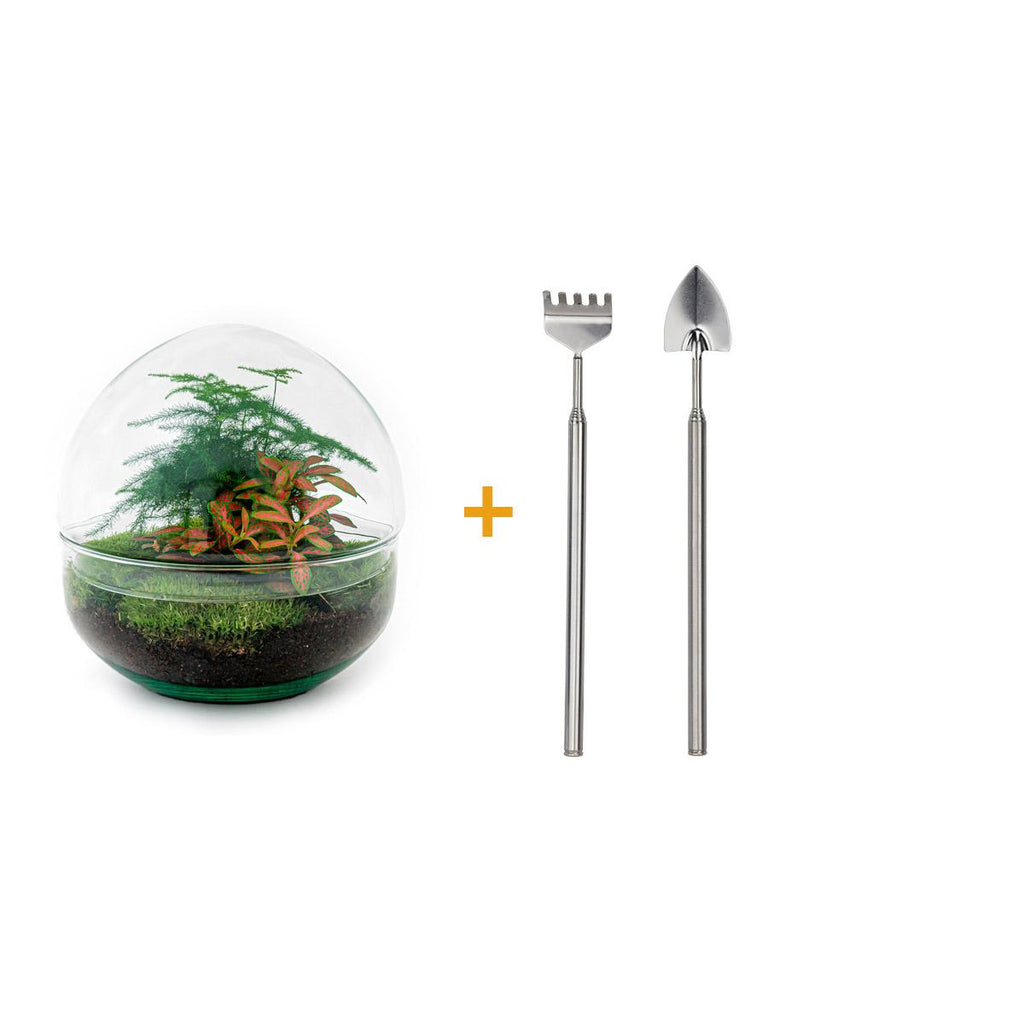 Productafbeelding van Pureplant