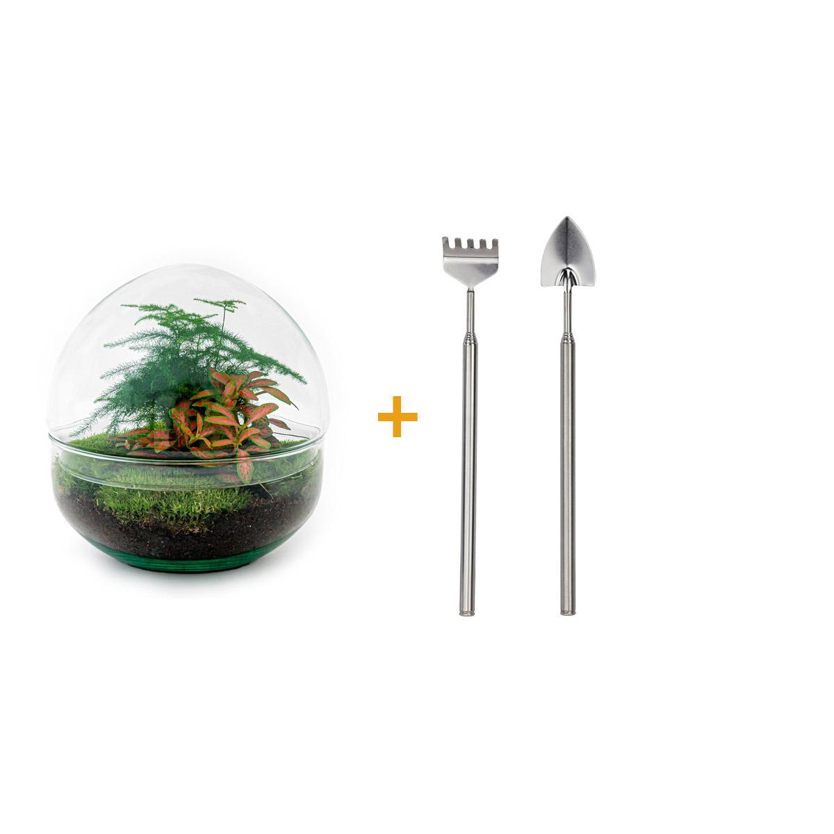 Productafbeelding van Pureplant