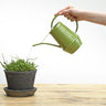 Bloemengieter - Zink - 1 liter