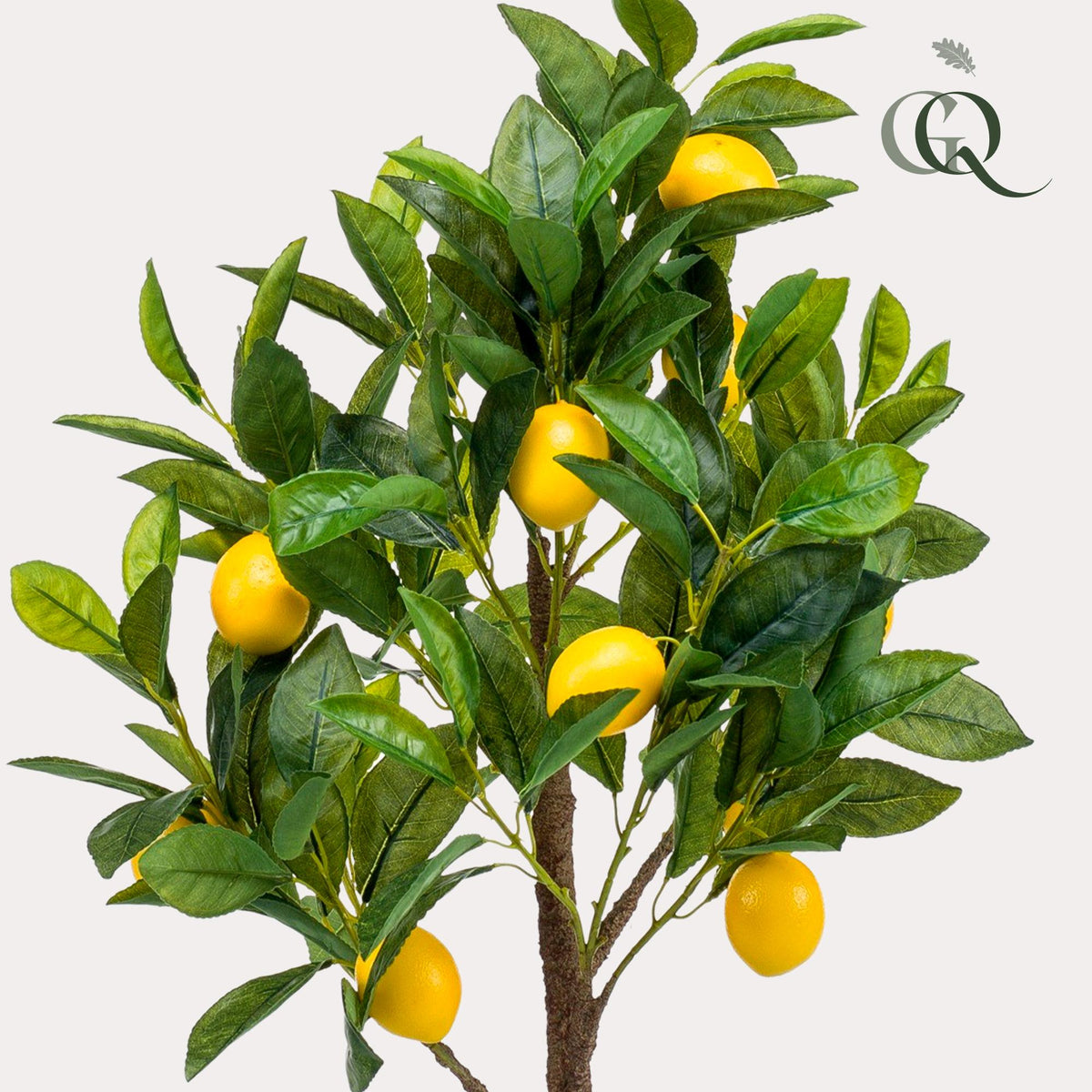 Productafbeelding van Pureplant
