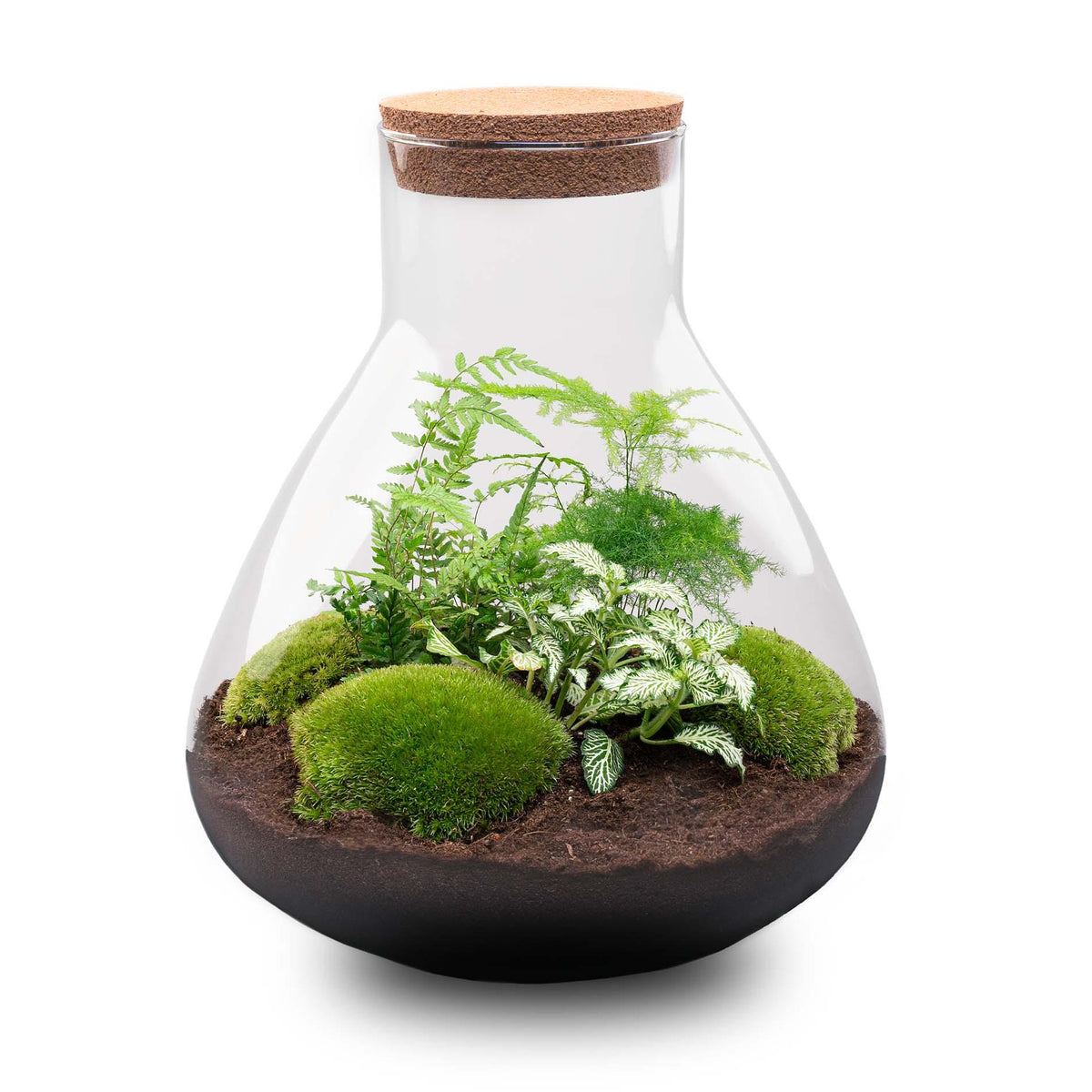 Detailfoto van DIY terrarium Sam XL Green met licht, compleet gereedschap