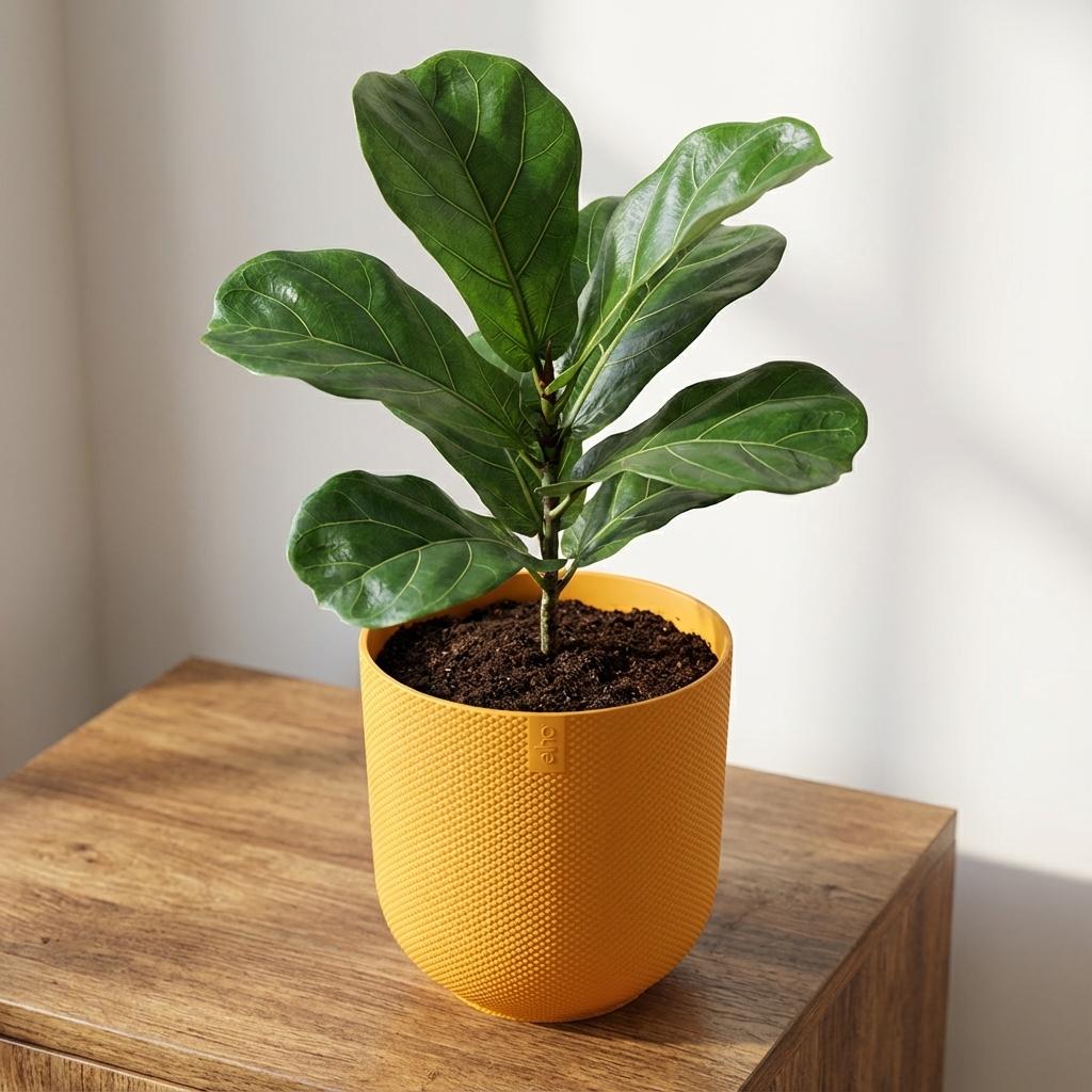 Productfoto van Pot Elho Jazz Round Amber Yellow - D23