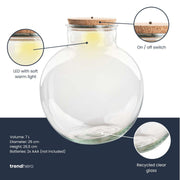 Terrarium fles (met) verlichting - Teddy - Zonder ledkurk