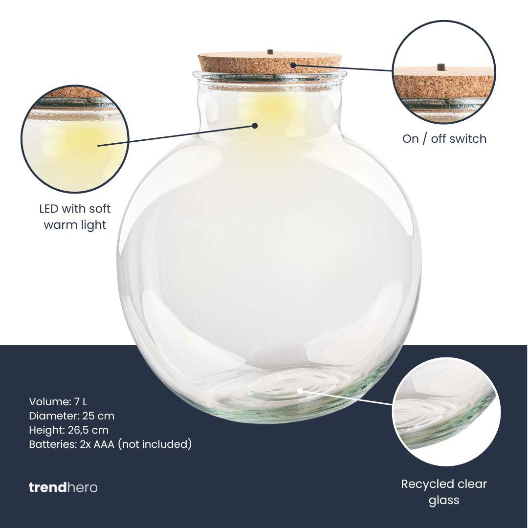 Terrarium fles (met) verlichting - Teddy - Zonder ledkurk, kenmerkend blad
