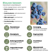 Zomervruchten, BIO fruitplanten mix van 4 soorten
