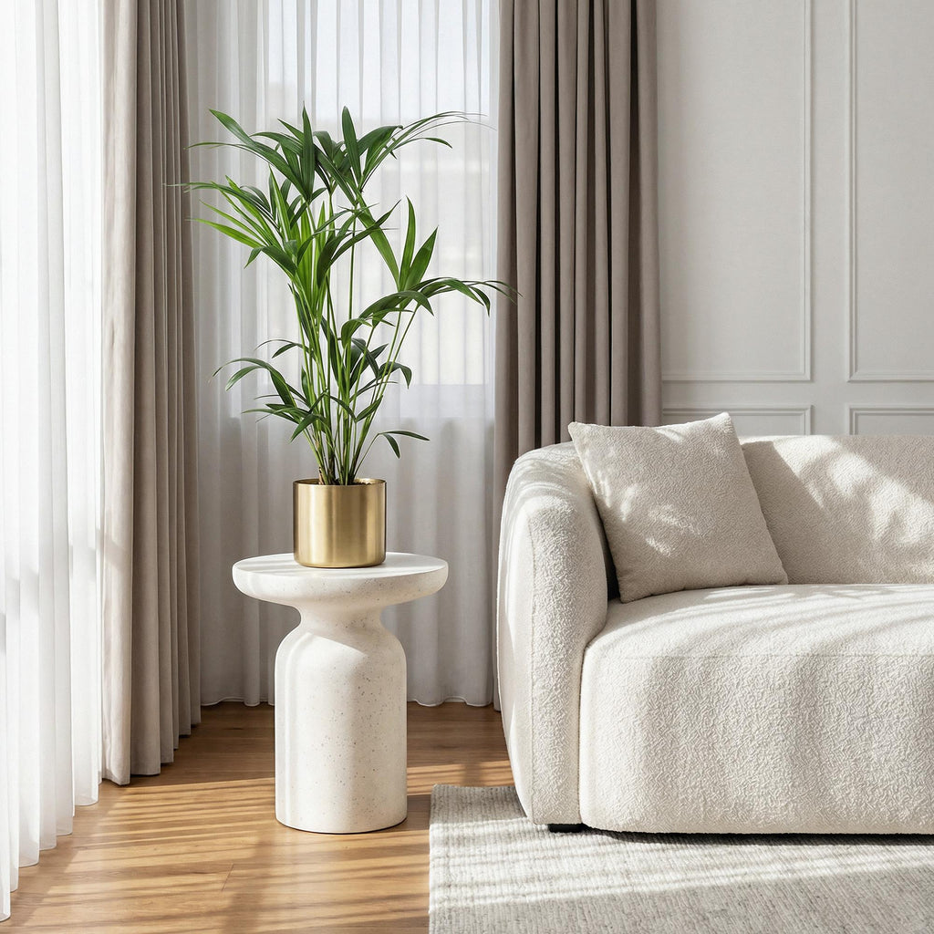 Howea Forsteriana, 80-85 cm hoog, groeiwijze van de plant