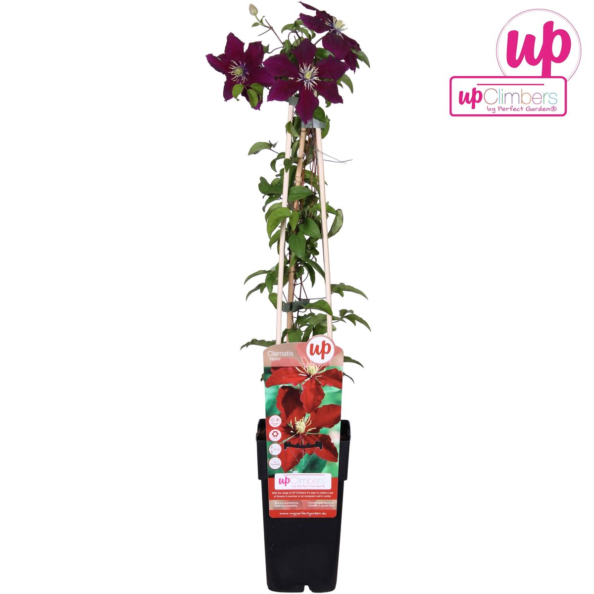 Productafbeelding van Pureplant