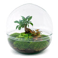 Detailfoto van DIY terrarium bolglas Dome XL Bonsai, hark, schep, pincet
