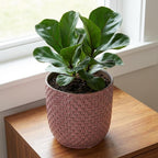 Plantenpot met reliëf, keramiek in oudroze, Ø13,5 cm, kenmerkend blad