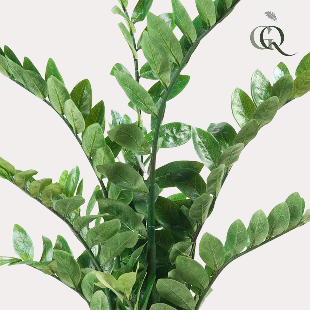 Productafbeelding van Pureplant