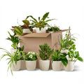 Kneusjesbox (12 stuks) incl. 12 witte potten, detail van het blad