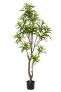 Productafbeelding van Pureplant