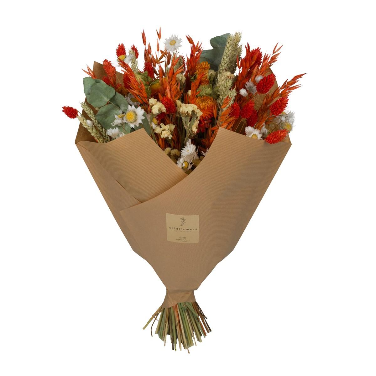 Klassiek droogboeket oranje, plant in pot