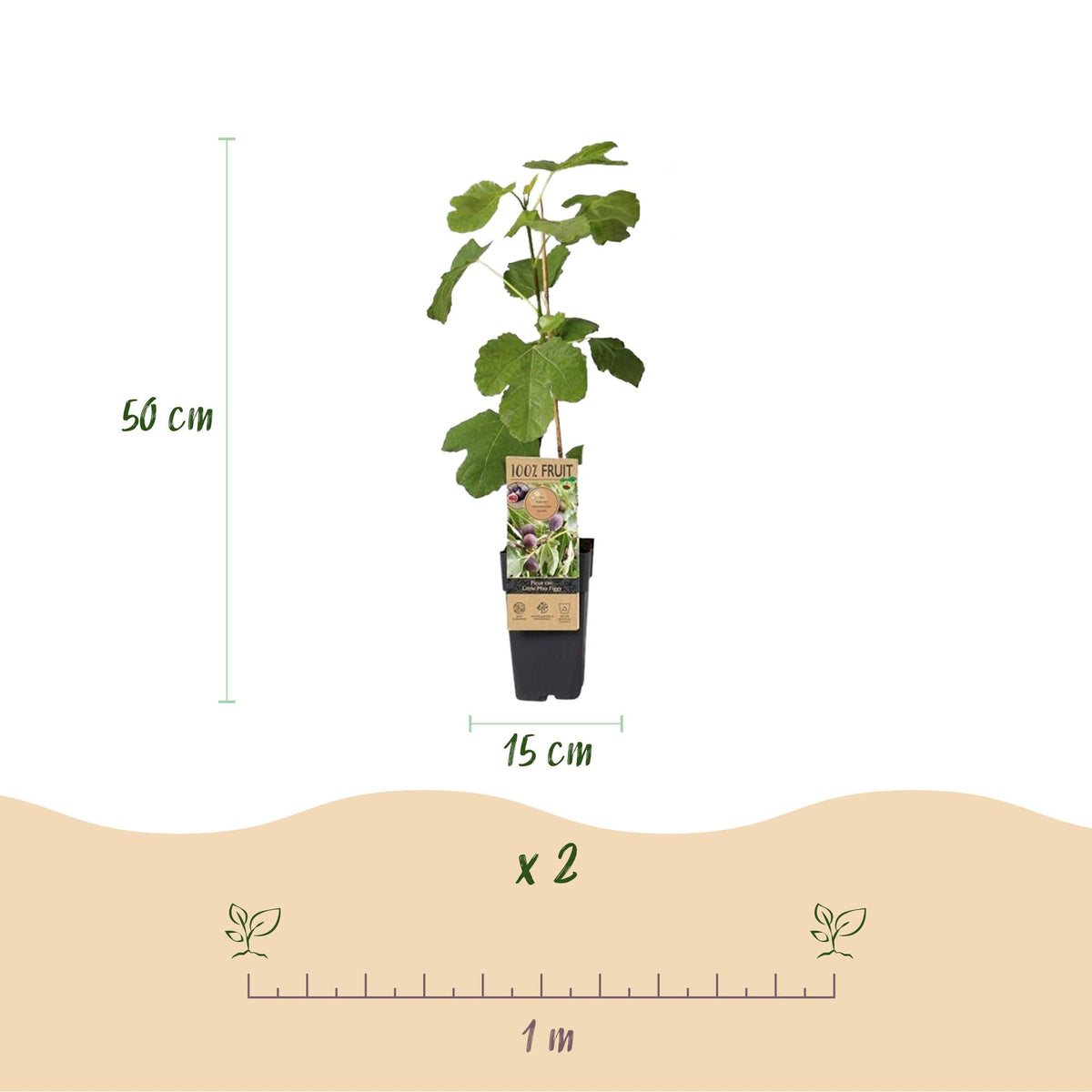 Productafbeelding van Pureplant