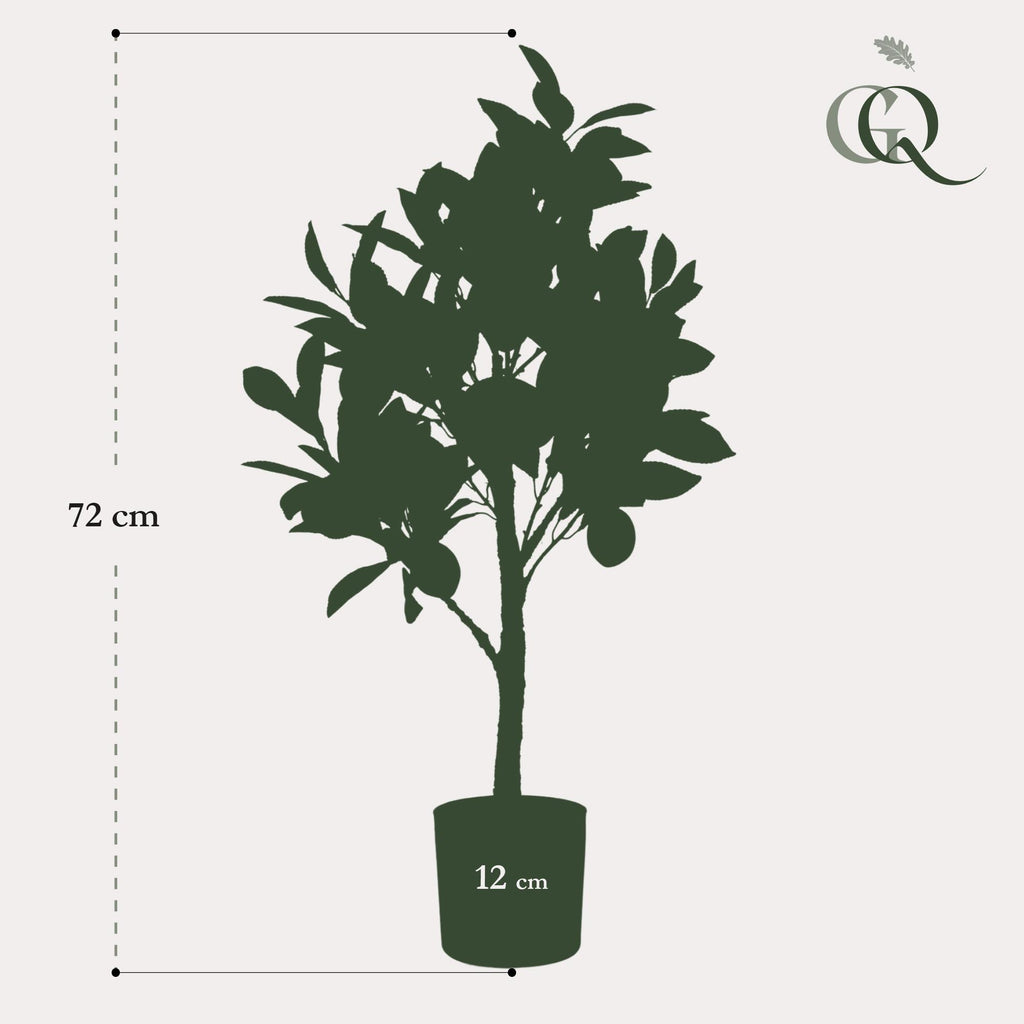 Productafbeelding van Pureplant