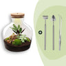 DIY plantenterrarium met licht, Fat Joe Red
