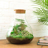 DIY Planten terrarium met licht - Sam XL Green - Met hark en schep