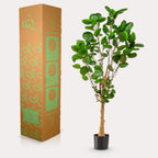 Productafbeelding van Pureplant