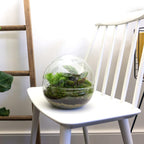 Productfoto van DIY terrarium bolglas Dome, zonder gereedschap