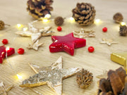 Kerst Terrarium Decoratiepakket