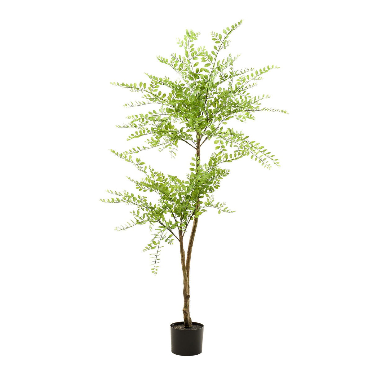 kunstplant - Sophora tree  - Honingboom, groeiwijze van de plant