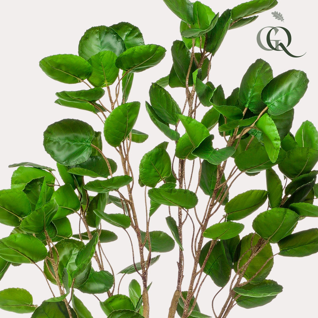 Productafbeelding van Pureplant