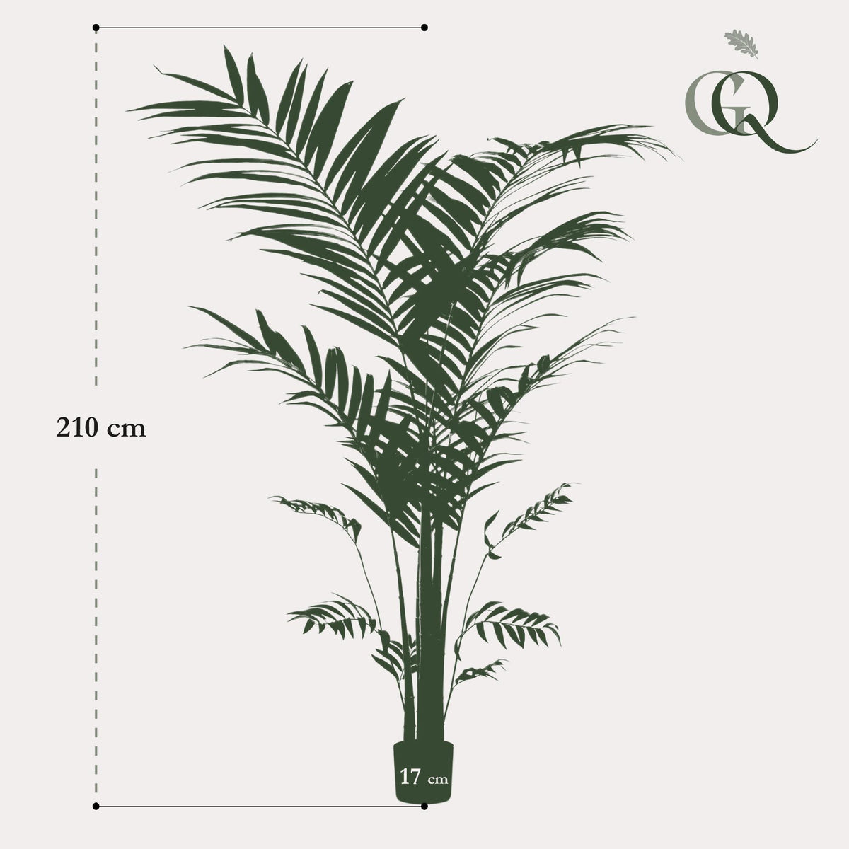 Kunstplant - Kentia -Kentiapalm, kenmerkend blad