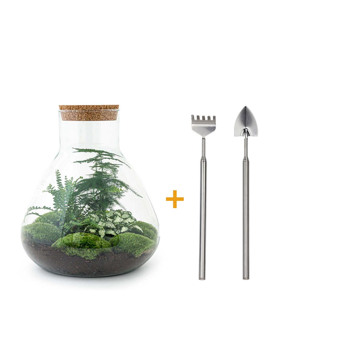 Detailfoto van DIY terrarium Sam XL Green met licht, hark en schep