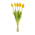 Tulpen boeket Geel - 5 stuks - 'Real Touch' Kunst tulpen, groeiwijze van de plant