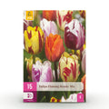Tulp Flaming Beauty mix, detail van het blad