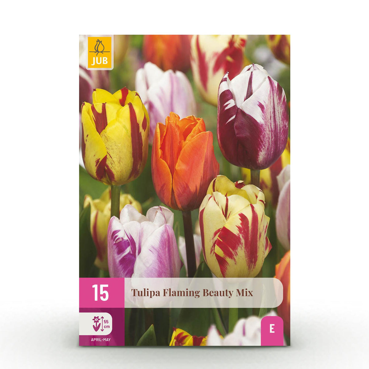 Tulp Flaming Beauty mix, detail van het blad