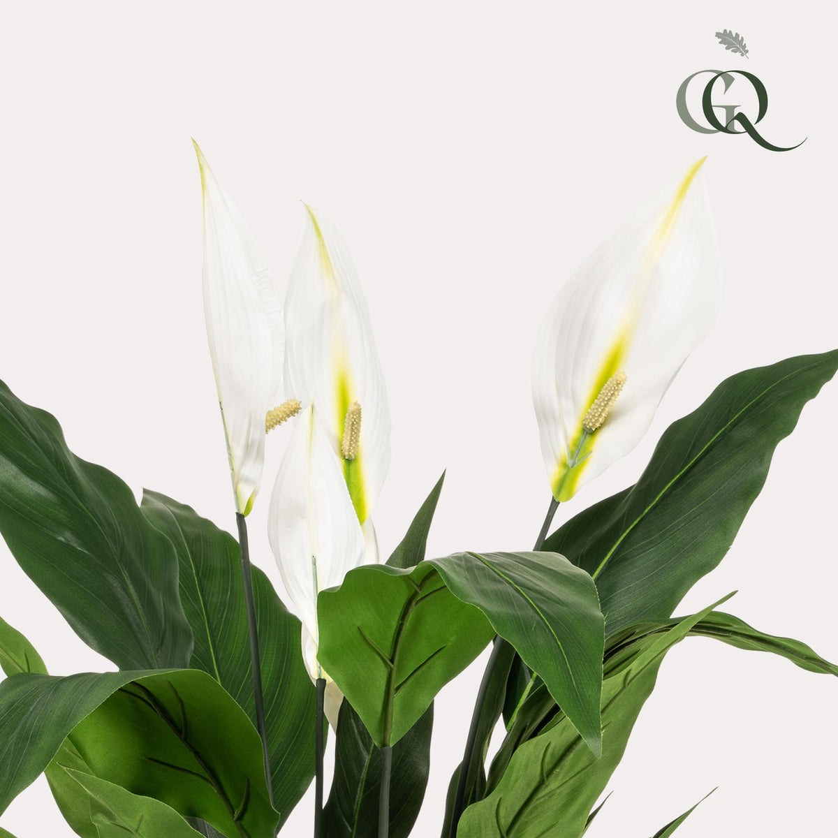 kunstplant - Spathiphyllum - Lepelplant, detail van het blad