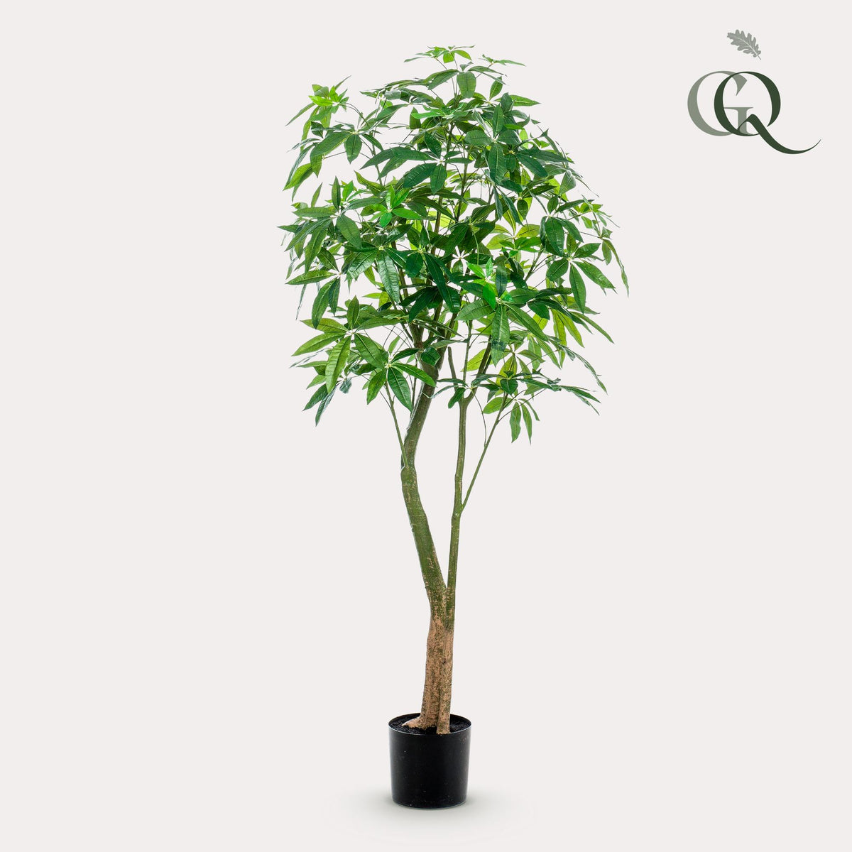 Productafbeelding van Pureplant
