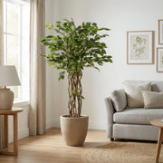 Ficus Liana Kunstboom