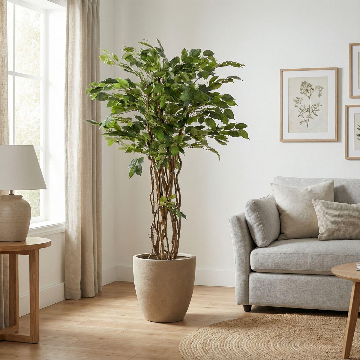 Ficus Liana Kunstboom, groeiwijze van de plant