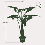 Kunstplant Alocasia 'Frydek', fluweelachtig blad, 120 cm, gezonde plant