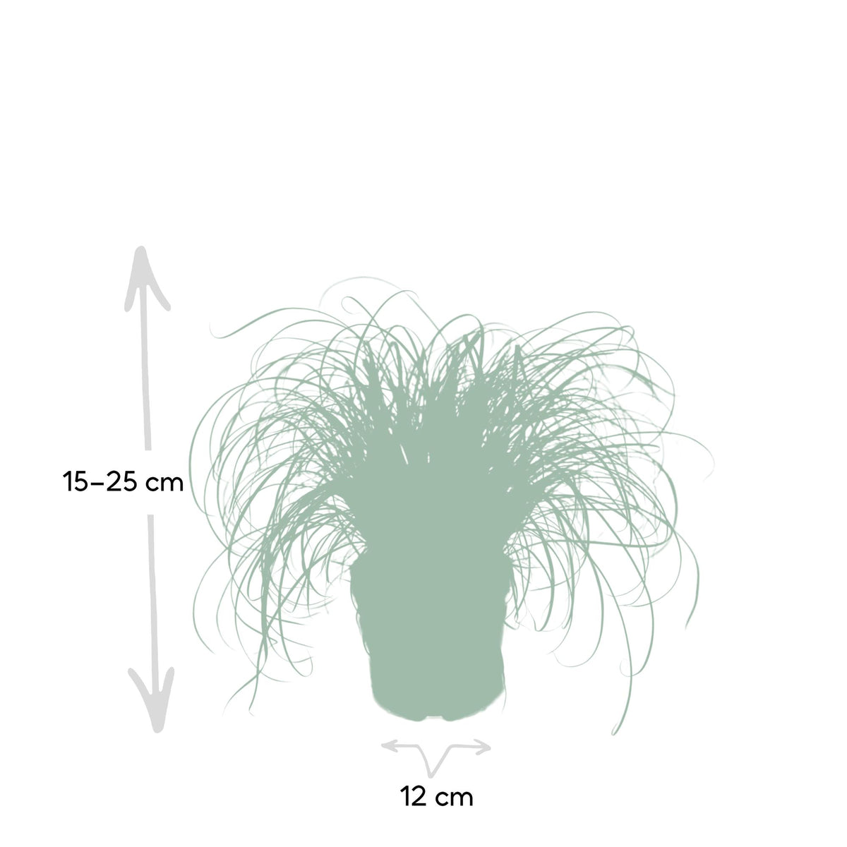 Productafbeelding van Pureplant