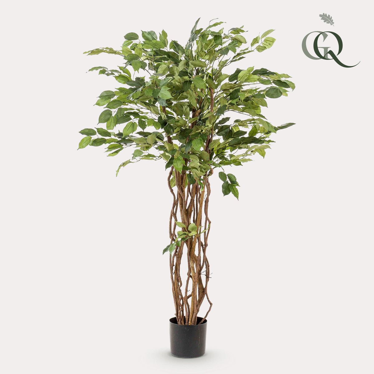 kunstplant - Ficus liana  - Vioolbladplant, plant in pot