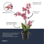 Orchidee Vanda kunstplant, kenmerkend blad