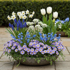 Bulb Garden Blue mix, kenmerkend blad