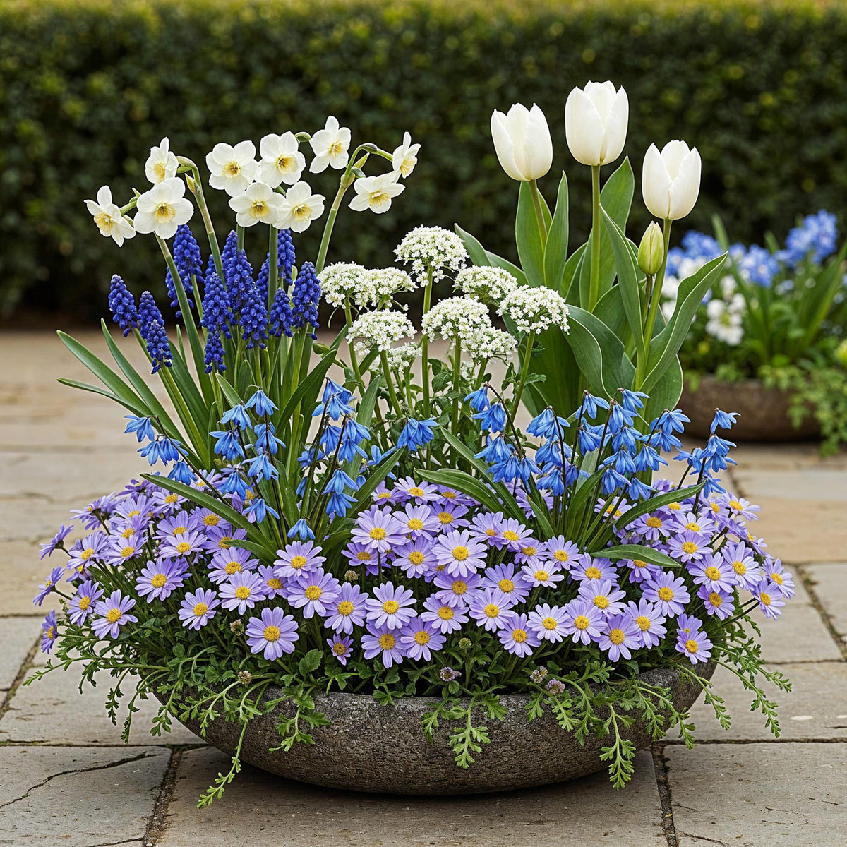 Bulb Garden Blue mix, kenmerkend blad