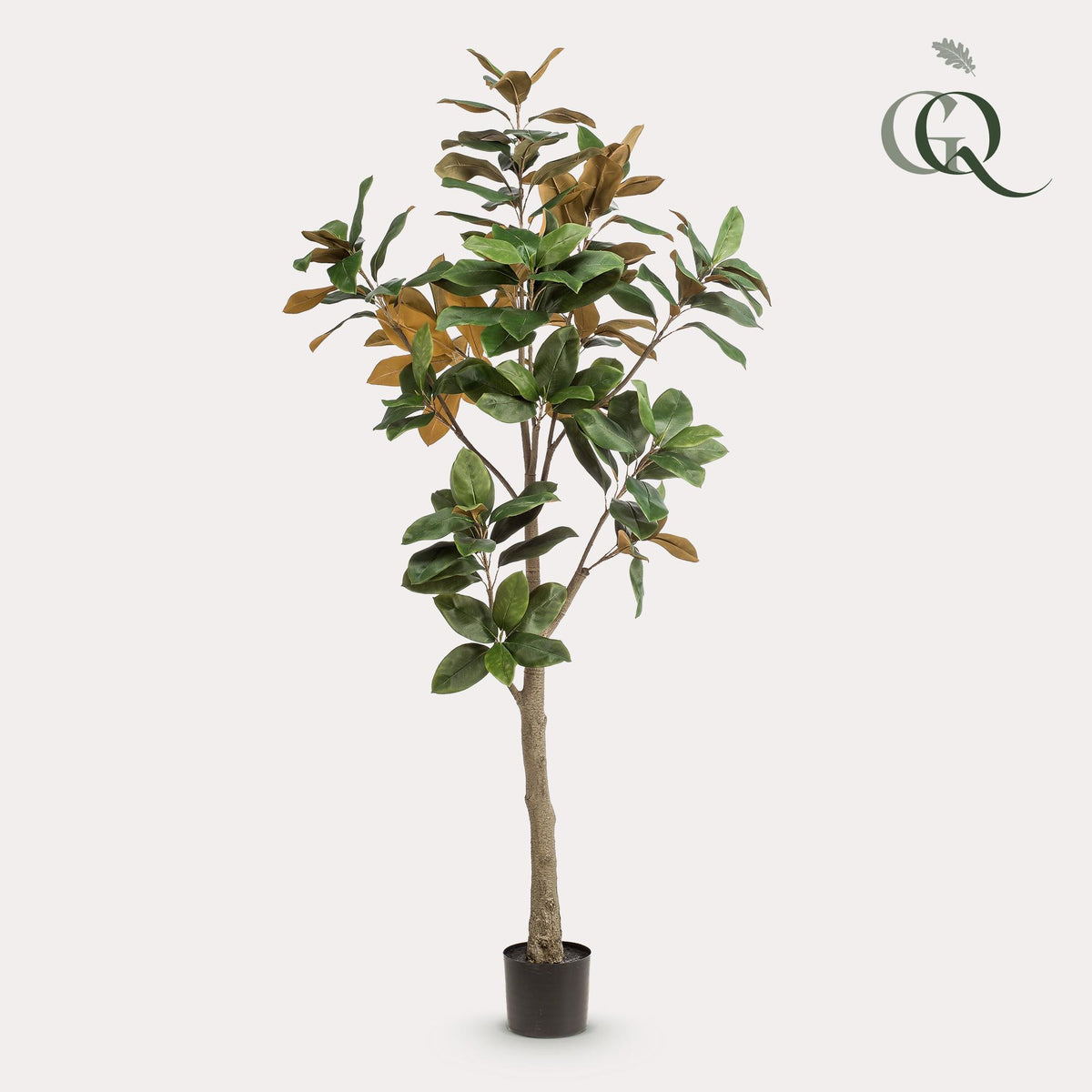 Kunstplant - Magnolia Grandiflora, detail van het blad