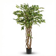 Ficus Liana Kunstboom