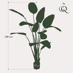 Kunstplant - Strelitzia Nicolai - Paradijsvogelbloem, kenmerkend blad