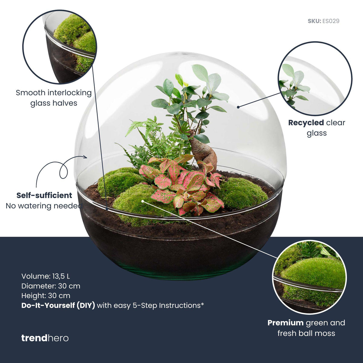 Detailfoto van DIY terrarium bolglas Dome XL Bonsai, zonder gereedschap