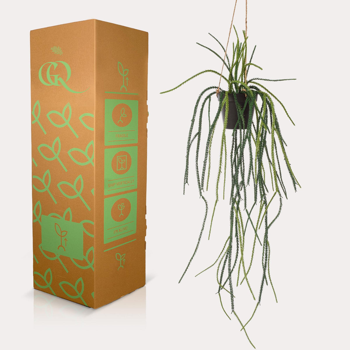 Productafbeelding van Pureplant