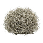 Tillandsia usneoides gedroogd, Spaans mos 1L voor decoratie, kenmerkend blad
